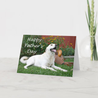Carte de Fête des pères Labrador Retriever