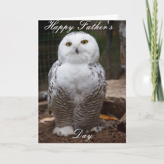 carte de fête des pères owl. (Devant)