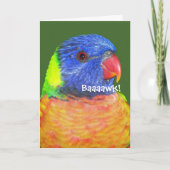 Carte de Fête des pères photo Rainbow Lorikeet Par (Devant)