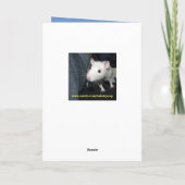 Carte de Fête des pères pour bébés rats (Dos)