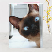 CARTE DE FETE MAMAN CHAT CURIEUX (Fleur jaune)