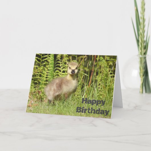 Carte de fête ou de vœux pour un adorable poussin. (Devant)