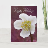 Carte de fêtes - Rose d'Hiver (Devant)