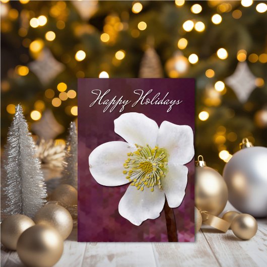 Carte de fêtes - Rose d'Hiver