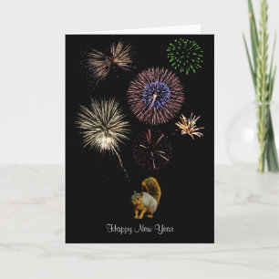 Carte de feu d'artifice