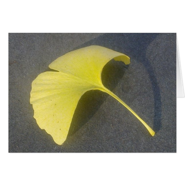 Carte de feuille de ginkgo biloba (Devant horizontal)