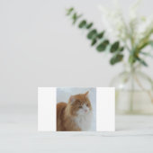 Carte De Fidélité Chat_des_forêts_norvégiennes (Debout devant)