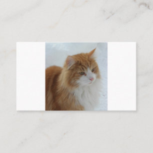 Carte De Fidélité Chat_des_forêts_norvégiennes