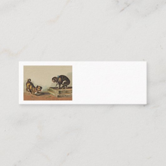 Carte De Fidélité Pug merdique et Kitty (Devant)