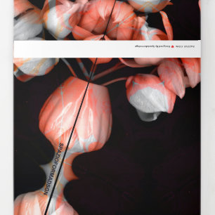 Carte De Fin D'année Trois Volets "Coeur blanc en noir du soleil" & Silence