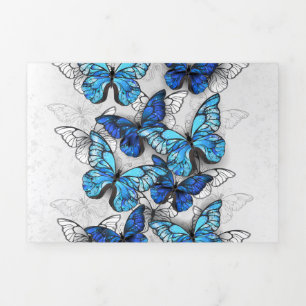 Carte De Fin D'année Trois Volets Composition des White and Blue Butterflies