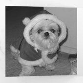 Carte De Fin D'année Trois Volets Festif moderne Blue Rustic Snowflake 3 Photo (Intérieur en premier)