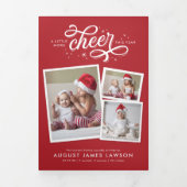 Carte De Fin D'année Trois Volets Holiday (Page de couverture)