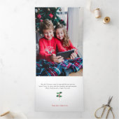 Carte De Fin D'année Trois Volets Joyeux Noël Calligraphie Botanique 3 Photo (Intérieur)