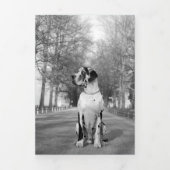 Carte De Fin D'année Trois Volets Rétrospective (Page de couverture)