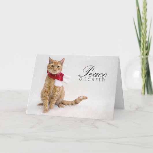 Carte de fin de année de charité (Devant)