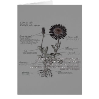 Carte de fleur d'aster