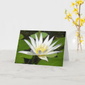 Carte de fleur de Lotus blanc (Fleur jaune)