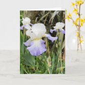 Carte de fleur d'Iris lilas clair vierge (Fleur jaune)