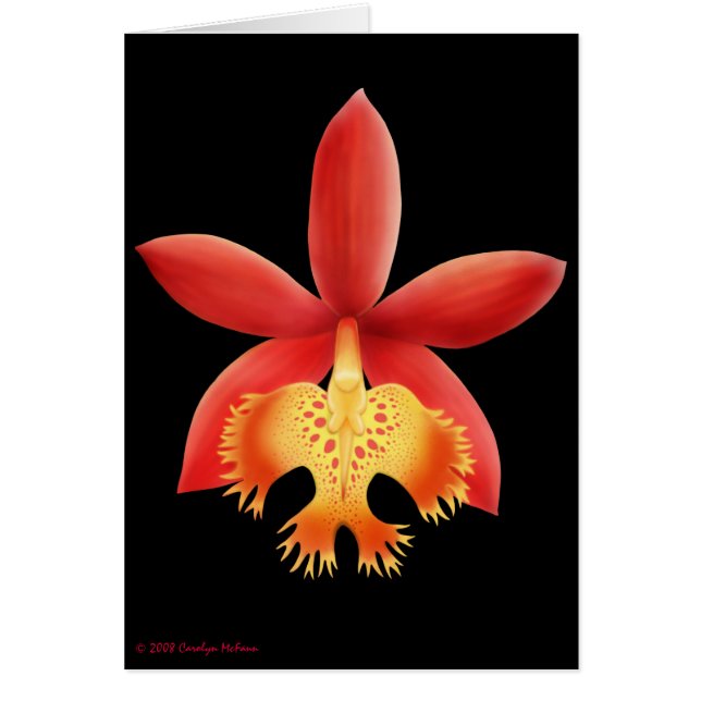 Carte de fleur d'orchidée d'Epidendrum (Devant)