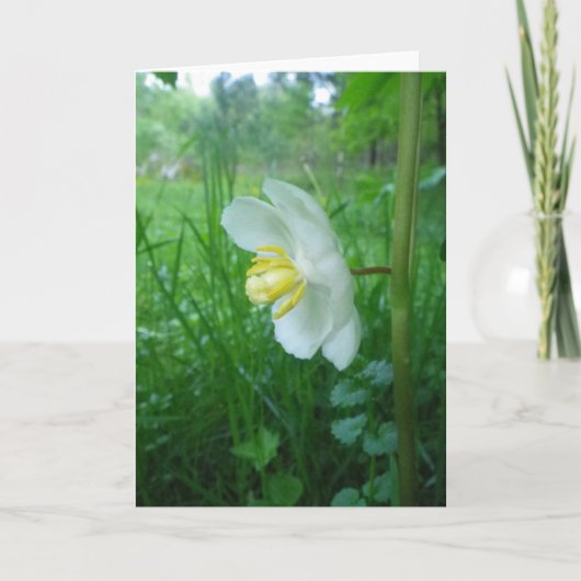 Carte de fleurs Apple (Devant)