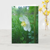 Carte de fleurs Apple (Fleur jaune)