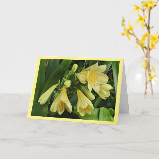 Carte de fleurs de clivea jaune avec bordure jaune (Fleur jaune)