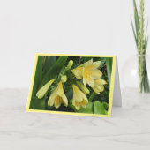 Carte de fleurs de clivea jaune avec bordure jaune (Devant)