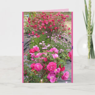 Carte de fleurs de jardin Vintages rouges Roses