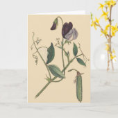Carte de fleurs de pois doux (Fleur jaune)