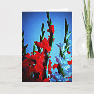 Carte de fleurs rouge, blanche et bleue