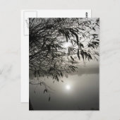 Carte de fond et d'ombre (Devant / Derrière)