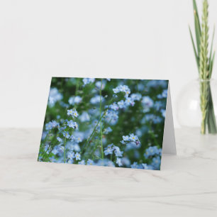 Carte de Forget-me-not Flowers