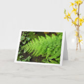 Carte de fougère (Fleur jaune)