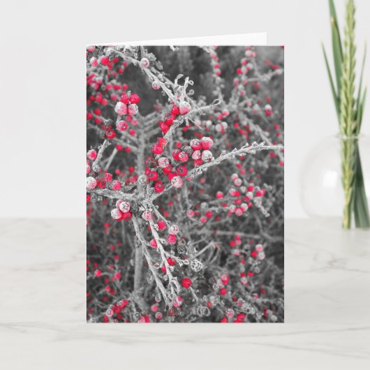 Carte de Frosted Berries (Devant)
