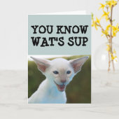 CARTE DE FUNNY DE NAISSANCE CAT (Fleur jaune)