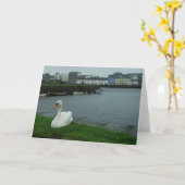 Carte de Galway (Fleur jaune)