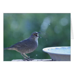 Carte de garde-boue de Thrasher