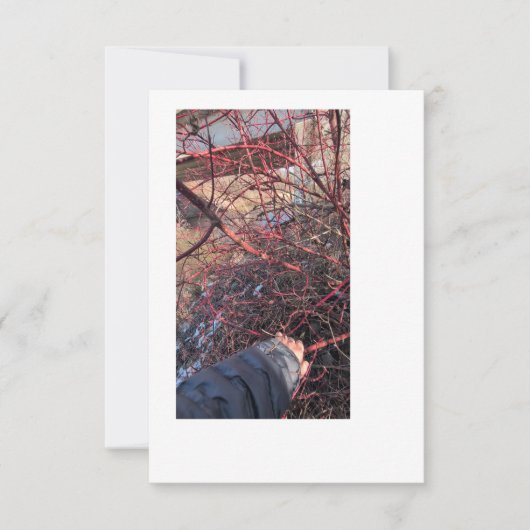 Carte de Géocache de Troll (Devant)