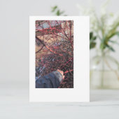 Carte de Géocache de Troll (Debout devant)