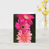 Carte de Gerberas (Fleur jaune)