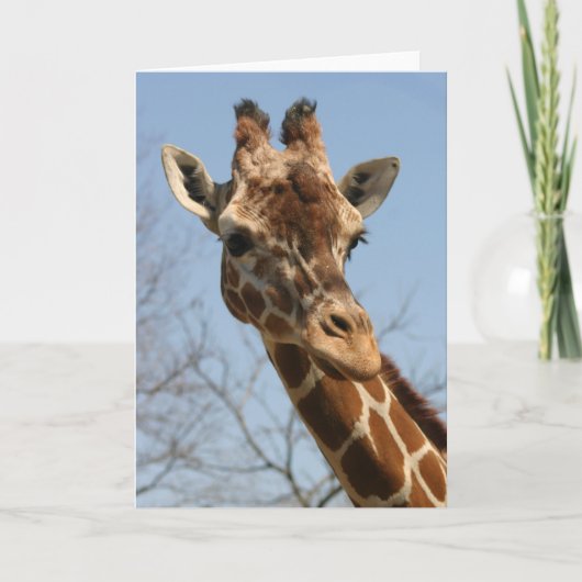 Carte de girafe (Devant)