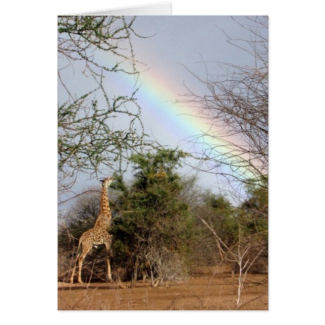 Carte de girafe et d'arc-en-ciel (Devant)