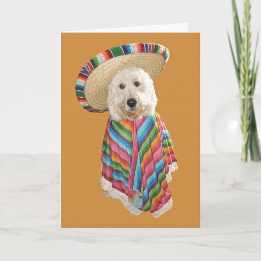 Carte de Goldendoodle Cinco De Mayo (Devant)
