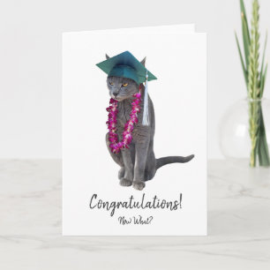 Carte de Graduation de chat gris