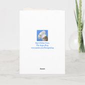 Carte de graduation pour mouton joyeux (Dos)