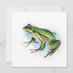 Carte de grenouille carré