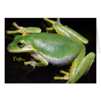 Carte de grenouille drôle