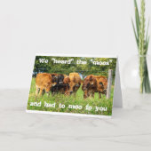 CARTE DE GROUPE AVEC BEAUCOUP D'HUMOUR "DEGRÉ REÇU (Devant)