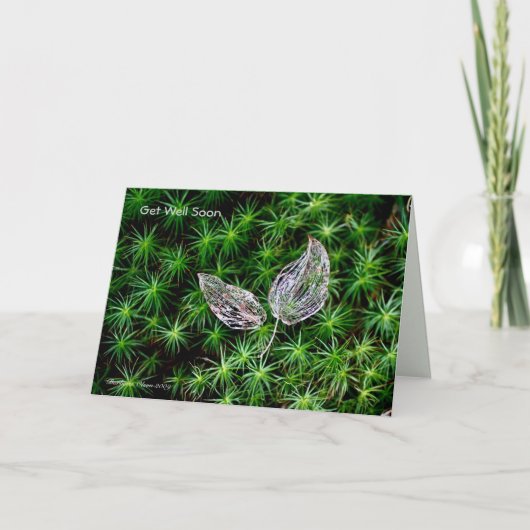 Carte de guérison dans la nature (Devant)